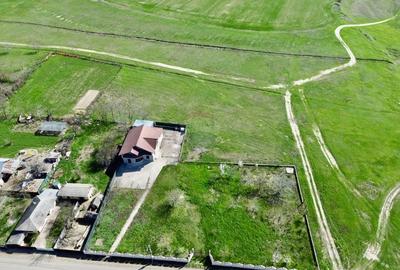 Casă cu 5 camere cu Teren 3400 Mp în Răchitosu - 32