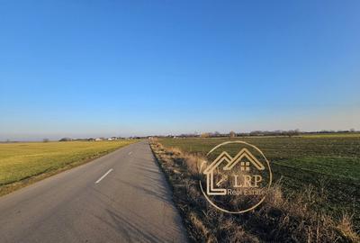 Dascalu-Creata-DC185-7900 mp intravilan, stradal - 6