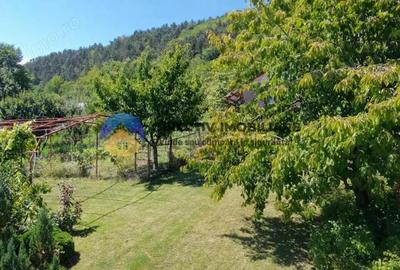 Casa + teren de vanzare - Garcina - 3