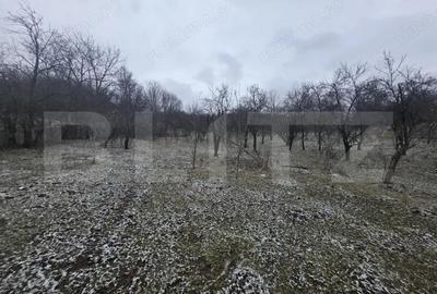 Teren de 9066 mp, în Central - 4