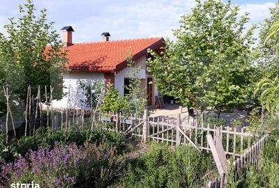Casă cu 3 camere cu Teren 5550 Mp în Mihai Eminescu - 3
