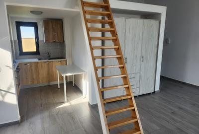 Loft spatios, etaj 12, cu terasa mare gazon natural - 7