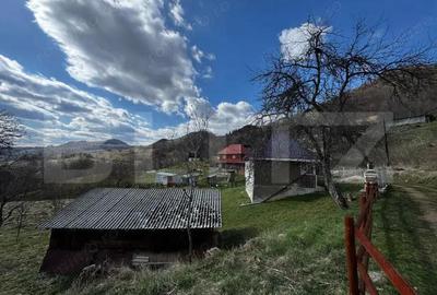 Casa la munte, teren 8324 mp, anexe, zona comuna Bucium - 1