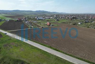 Teren de 3626 mp, în Nicolae Bălcescu - 5