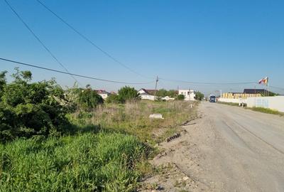 Teren Construcții intravilan de 9800 mp, în Clinceni - 2