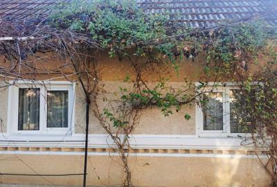 Casă cu 4 camere în Valea Mare-Pravăț - 1