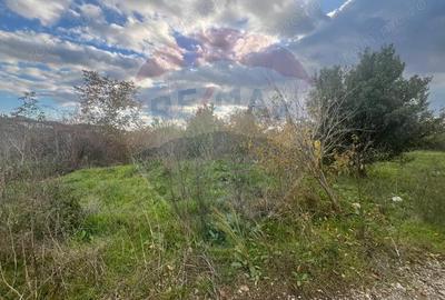 Teren intravilan Focsani / Strada Zabala - 3