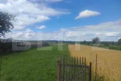 Teren intravilan la sosea, 6400 mp, Vicov de Sus