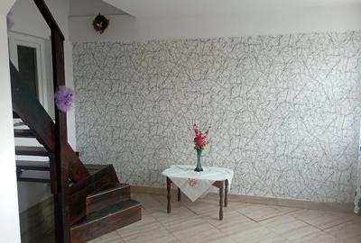 Vind casa locuibila,com.Grajduri sat.Valia Satului Iasi.Pre? 65000 euro neg. - 9