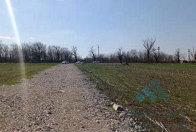 Teren Construcții intravilan de 1000 mp, în Glina - 4