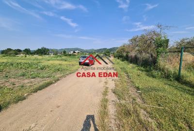 Teren Construcții intravilan de 7500 mp, în Câmpina - 5