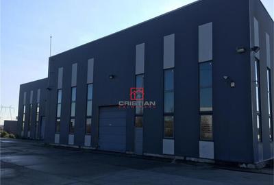 Depozit/hala/spatiu industrial Ciorogarla - A1 - KM14, Ilfo - 2