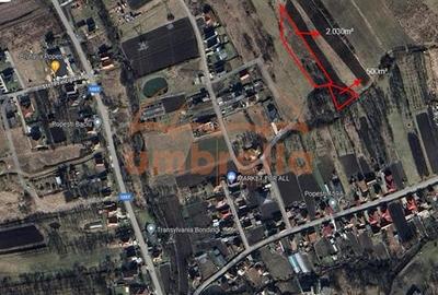 2 Terenuri de vanzare in Popesti Baciu 500/?+ 2.030/?. - 7