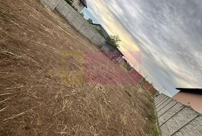 Teren Domnesti- strada Fortului. - 2