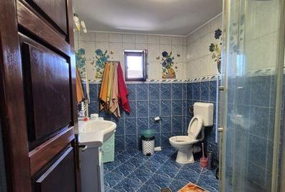 Casa + magazin Orasul Fundulea, stradal DN3 - 16