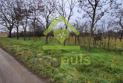 ? Teren intravilan de 1.159 mp in Dragsina. (27,61 Euro/mp)? - 3