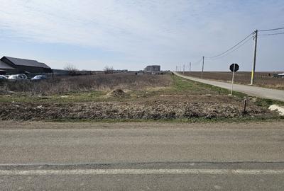 Teren Construcții intravilan de 700 mp, în Răchiți - 3