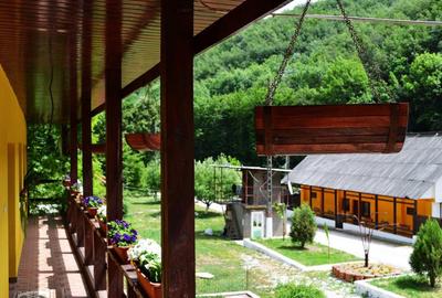 Teren pentru investitii 11.000 mp - 41