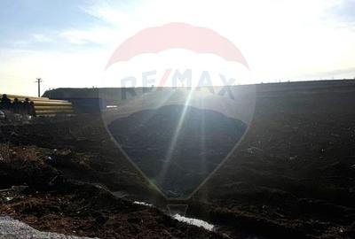 Teren agricol extravilan de 4956 mp, în Letea Veche - 6