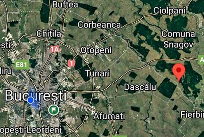 Vanzare 2000 mp, sau 3000 mp sau 5000 mp teren in Gradistea cu acces dinspre A3 - 3