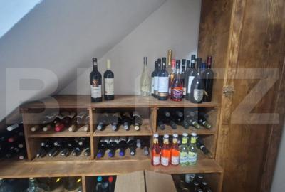 Casa moderna P+1 Lux , Izvor  individuala 5 camere plus pivnita , curte si anexe - 18