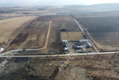 Teren de 133.000 mp cu PUZ in desfasurare in zona de Vest di - 5