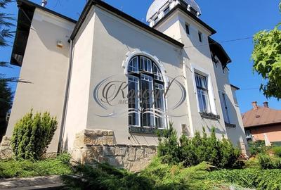 Birou, de 117 mp, în Andrei Mureșanu - 1