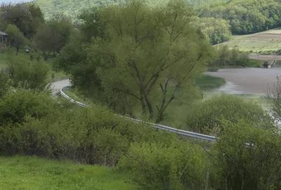 Teren intravilan de 7000 mp, în Găiceana - 7
