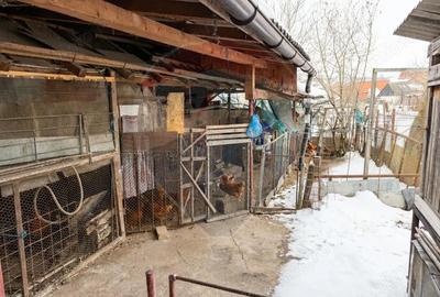 Casă cu 3 camere cu Teren 700 Mp în Mihai Viteazu - 1