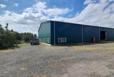 Industrial hall for sale in Filipe?ti, Braila 2,250 sqm hall on 30,000 sqm land for construction - 1