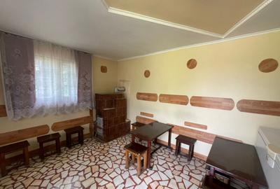 Teren *oportunitate investi?ie* in Carbune?ti-Sat - 7