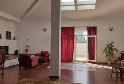 Casă individuală cu 8 camere în Sala Palatului