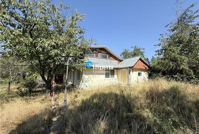 Casă individuală cu 3 camere cu Teren 4200 Mp în Mălăești - 2