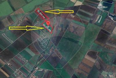 Teren de vanzare Halchiu 80.000 MP