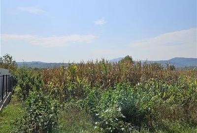TEREN INTRAVILAN DE VANZARE IN OITUZ JUD. BACAU