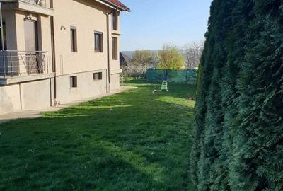 Casa Falticeni Casa Falticeni - 7