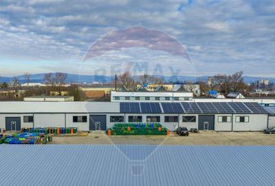 Spa?iu industrial modern de vanzare Fagara? - Co... - 14