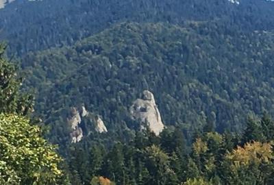 Predeal teren intravilan 4351 mp - 3