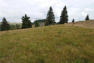 Teren de 7000 mp, în Piatra - 6
