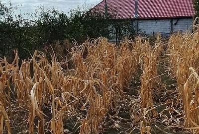 Casă cu 4 camere în Izvoru (Gogoșari) - 4