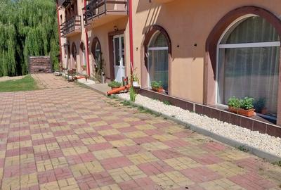 Casă cu 4 camere în Malu cu Flori - 8