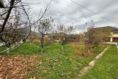 Casă cu 5 camere cu Teren 1310 Mp în Central - 13