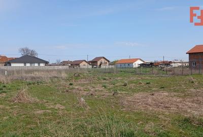 Teren Construcții intravilan de 798 mp, în Peciu Nou - 2