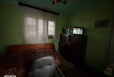 Casă cu 4 camere cu Teren 3767 Mp în Borș - 1