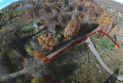 Teren Construcții intravilan de 5268 mp, în Zetea - 3