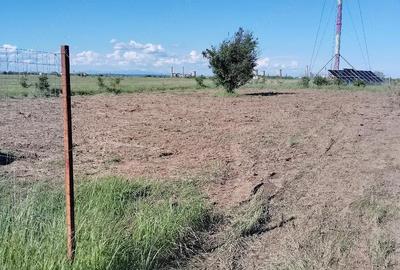 Teren de 303 mp, în Bradu - 2