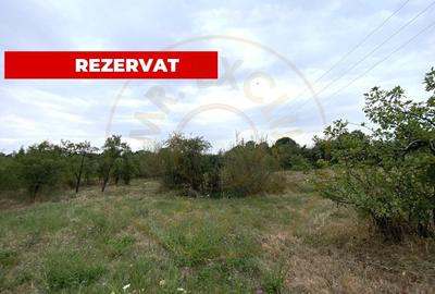 Teren intravilan 1.765 mp in Poiana Lacului, AG - 1