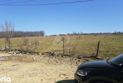 Teren de 2338 mp, în Bălești - 4