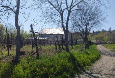 Casă individuală cu 2 camere cu Teren 4000 Mp în Moldoveni - 1