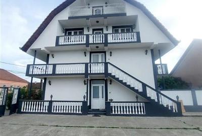 Casa cu 2 etaje si hala mare in Ineu de Cris - 3